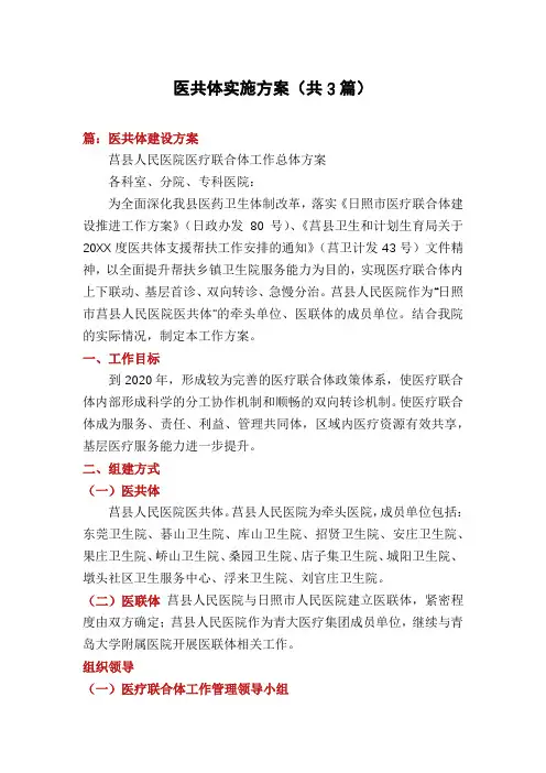 医共体实施方案(共3篇)