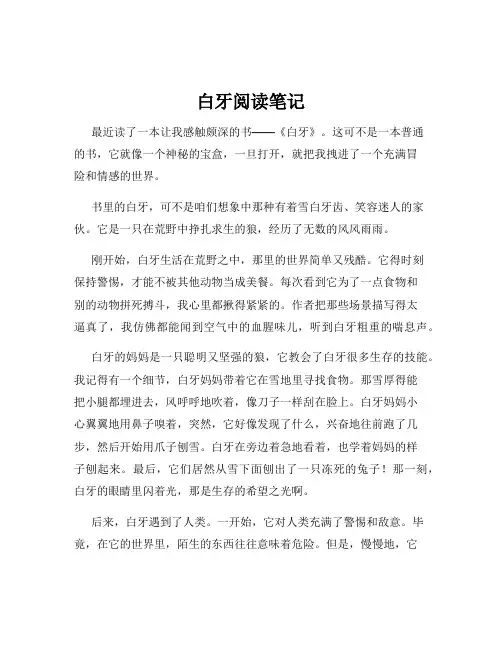 白牙阅读笔记