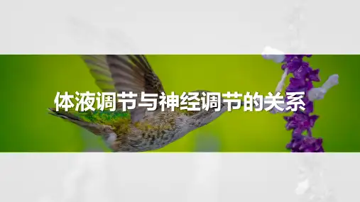 体液调节与神经调节的关系-高考生物复习