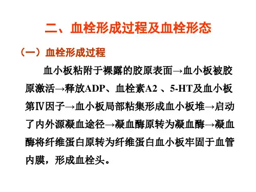 病理课件 第三章-2