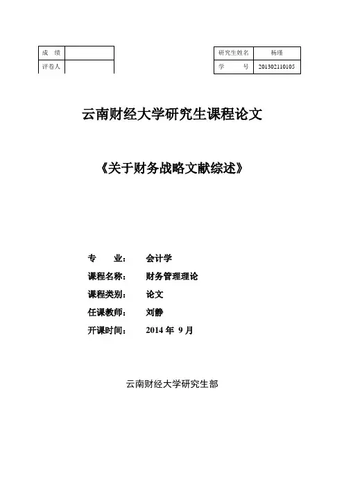 财务战略文献综述