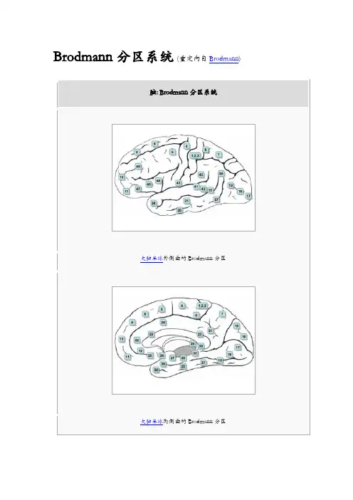 Brodmann分区系统