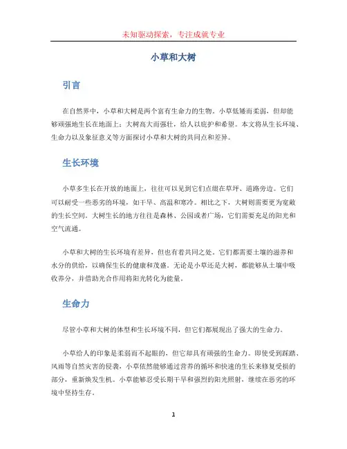 小草和大树