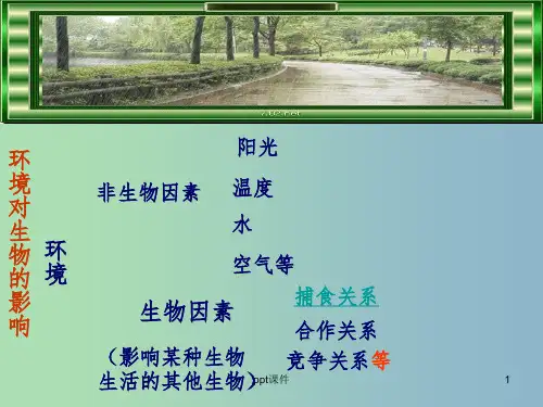 七年级生物上册 1.2.3 生物对环境的适应和影响课件 新人教版