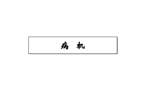 病机 PPT课件