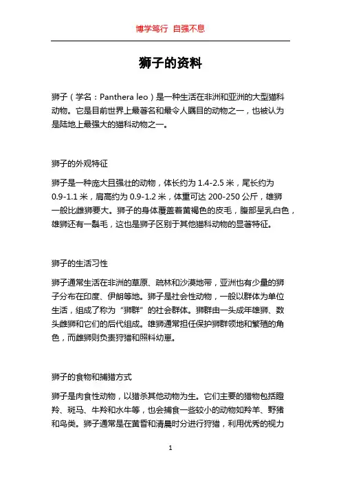 狮子的资料