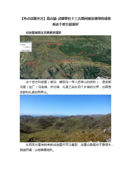 【热点话题关注】高山猫-武都要在十三五期间建设通用机场我看这个地方就很好