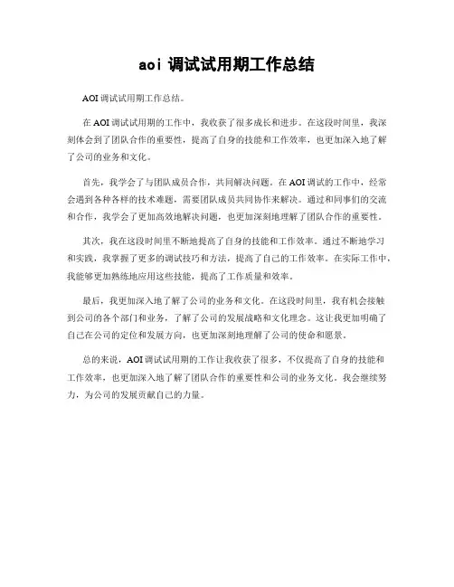 aoi调试试用期工作总结