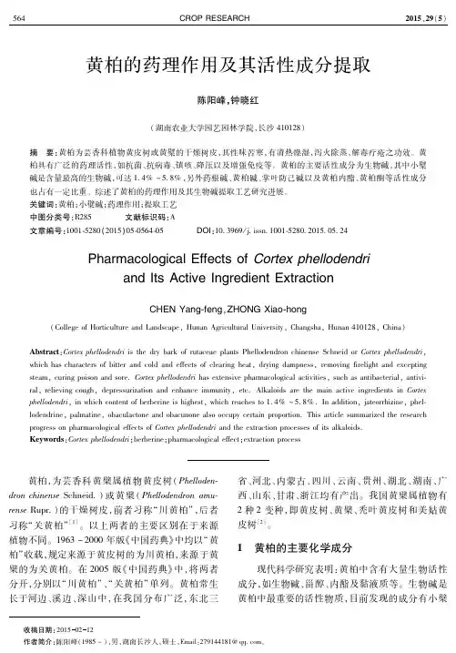 黄柏的药理作用及其活性成分提取