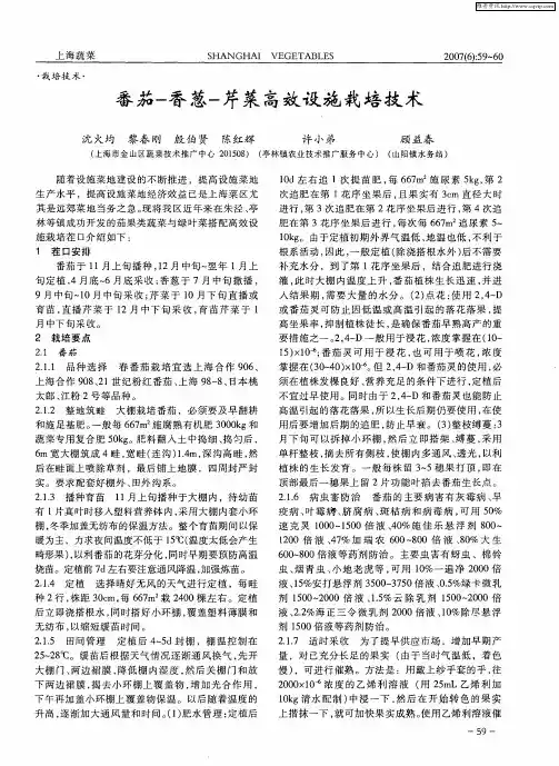 番茄-香葱-芹菜高效设施栽培技术