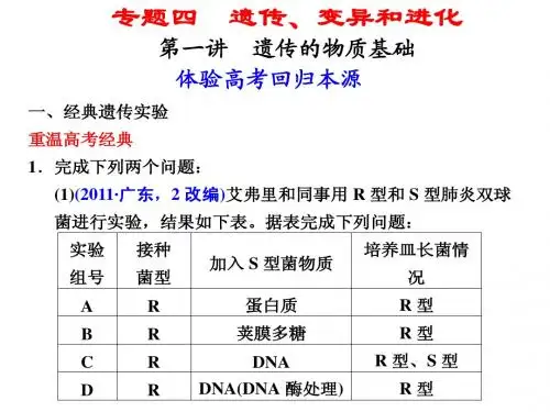 高考生物二轮、三轮复习课件 专题四第一讲