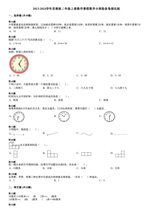 2023-2024学年苏教版二年级上册数学暑假数学小探险家卷强化版