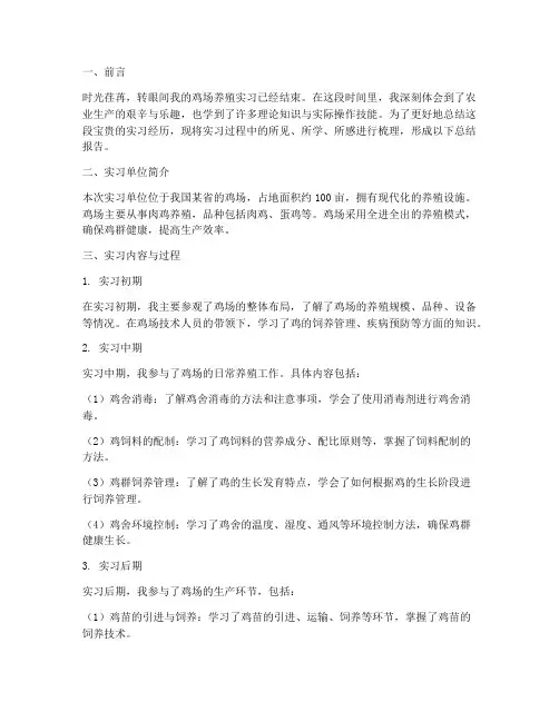 鸡场养殖实习总结报告