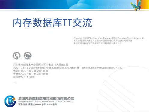 内存数据库TT应用培训