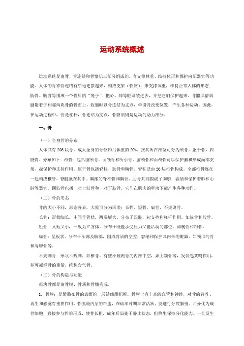 学前儿童卫生与保健：运动系统概述