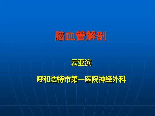 脑血管解剖(1)
