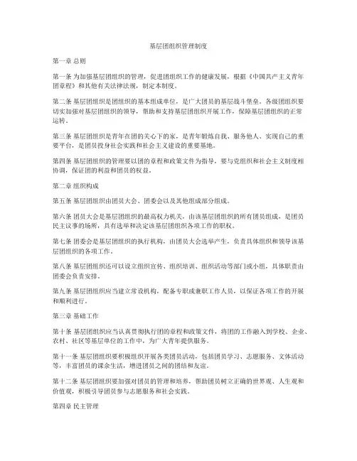基层团组织管理制度