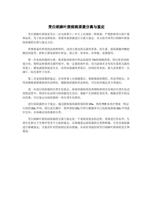 茭白胡麻叶斑病病原菌分离与鉴定