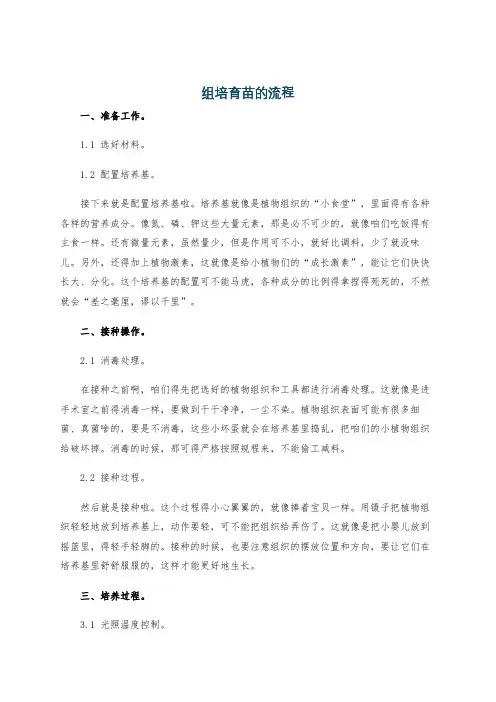 组培育苗的流程
