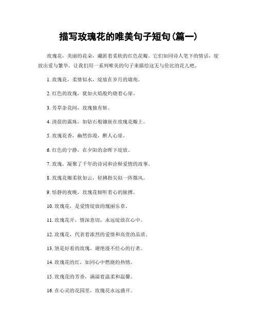 描写玫瑰花的唯美句子短句(精选2篇)