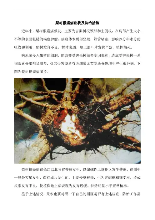 梨树根癌病症状及防治措施