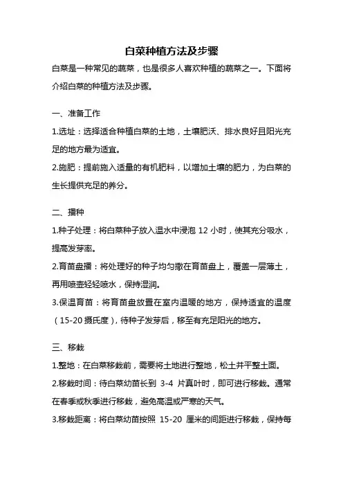 白菜种植方法及步骤