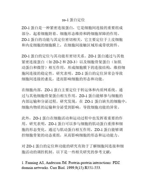 zo-1蛋白定位