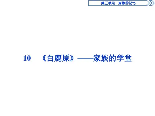 2019-2020学年人教版高中语文选修中国小说欣赏课件：10 《白鹿原》——家族的学堂
