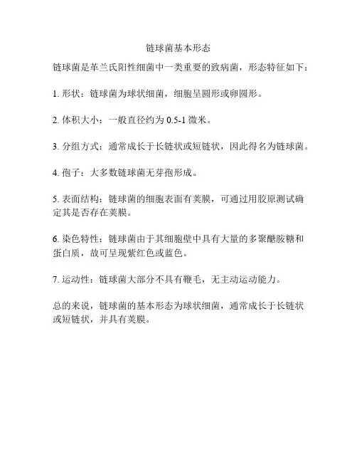 链球菌基本形态