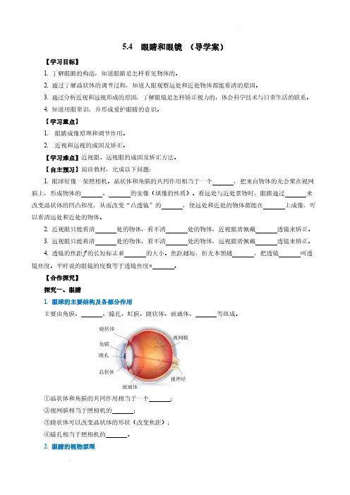 5.4 眼睛和眼镜导学案八年级物理上册人教版2024