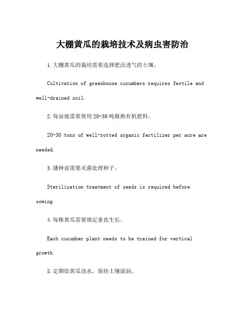 大棚黄瓜的栽培技术及病虫害防治