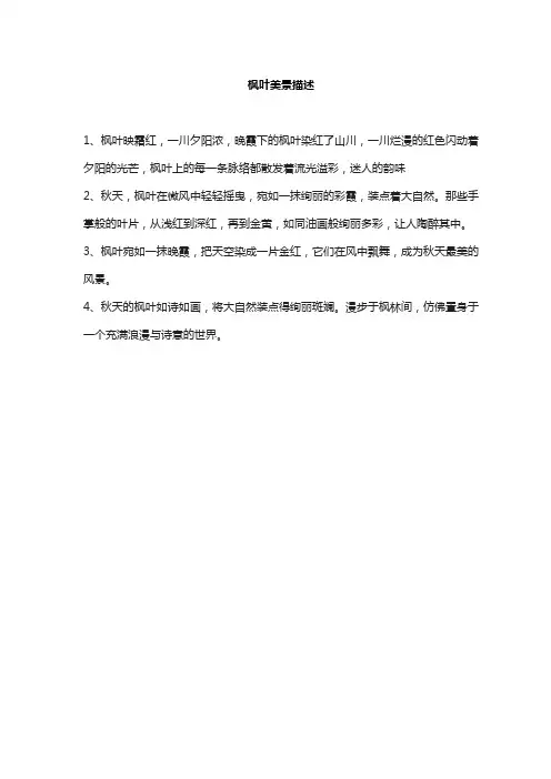 枫叶美景描述