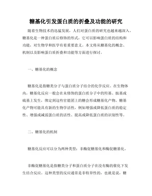 糖基化引发蛋白质的折叠及功能的研究