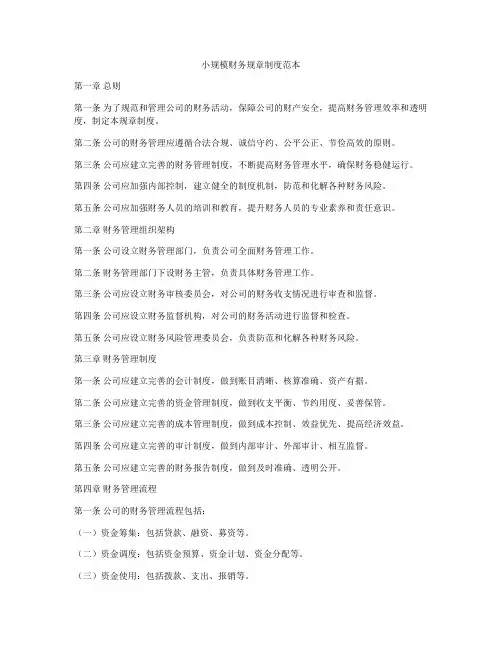 小规模财务规章制度范本