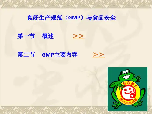良好生产规范(GMP)与食品安全PPT课件