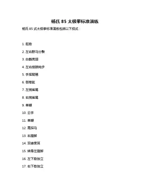 杨氏85太极拳标准演练