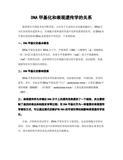 DNA甲基化和表观遗传学的关系