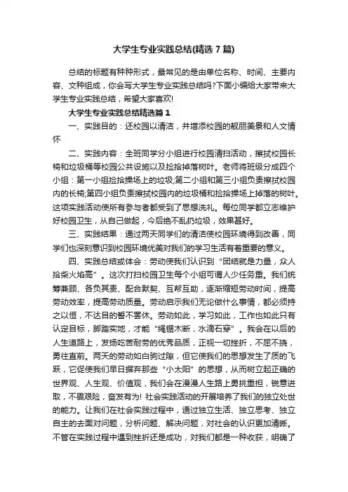 大学生专业实践总结（精选7篇）