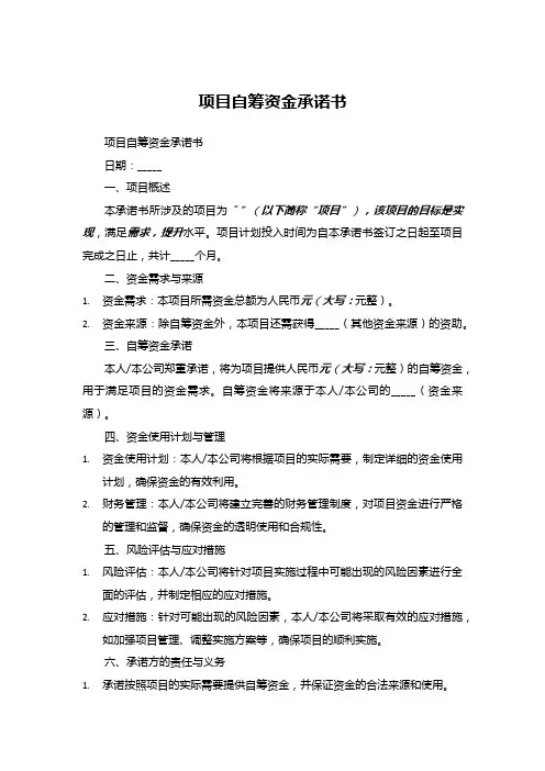 项目自筹资金承诺书