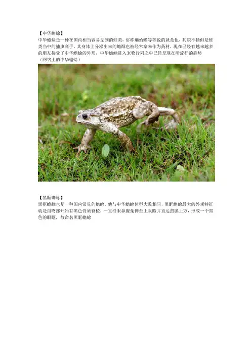 中华常见蛙