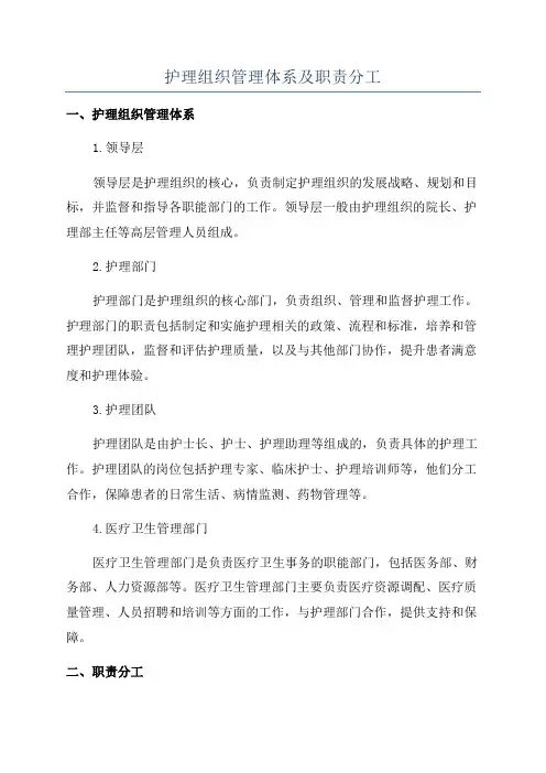 护理组织管理体系及职责分工