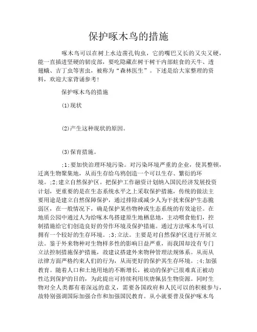 保护啄木鸟的措施