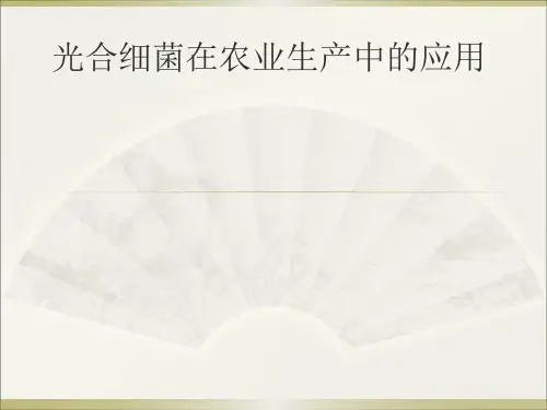 光合细菌在农业生产中的应用