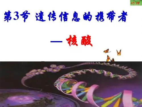 核酸