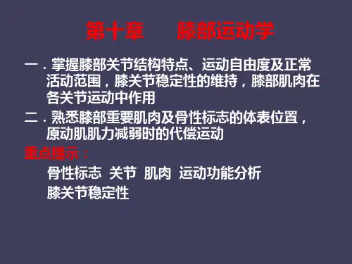 第十章--膝部运动学  ppt课件