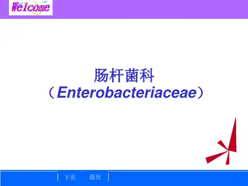 细菌学检验-10-肠杆菌科