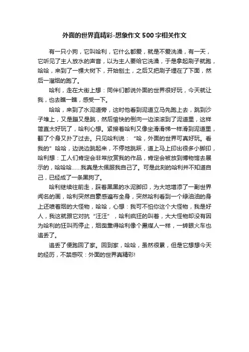 外面的世界真精彩-想象作文500字相关作文
