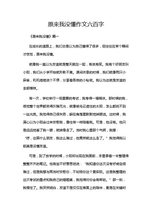 原来我没懂作文六百字