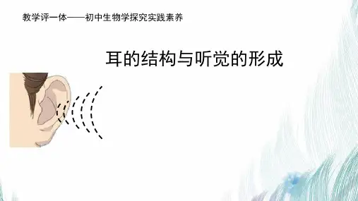 耳的结构和听觉的形成 PPT