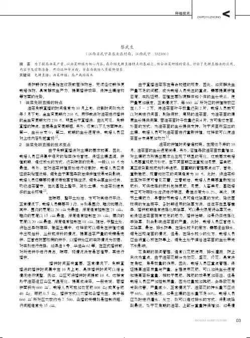 油菜免耕直播高产栽培技术要点